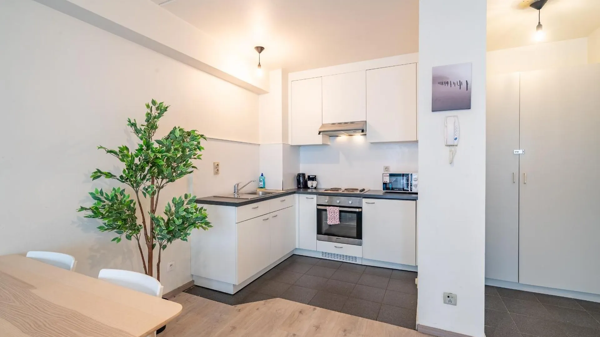 Bright And Central Antwerp Apartments